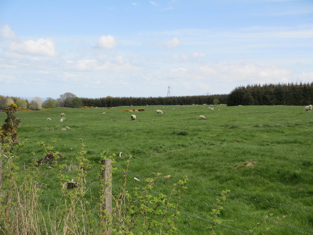 Rough grazing near Achvraid