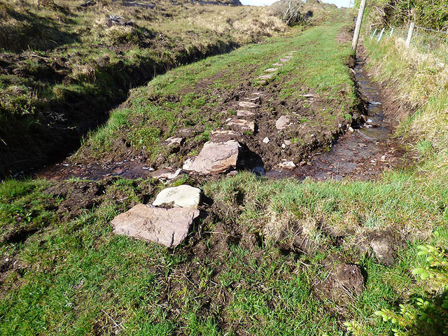 Stepping stones on the Kerry Way