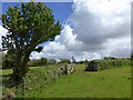 Footpath crossing fields on Tor Down