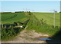 Farm track from Woodhouse Farm to Shadwell