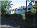 Houses along Leopold Avenue