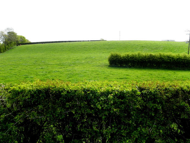 Green hedges, Roscavey
