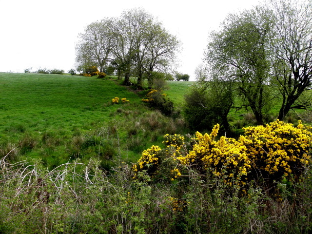 Whins, Roscavey © Kenneth Allen :: Geograph Ireland