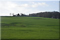 Farmland near Kingston