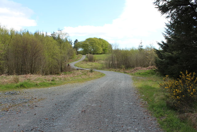 Road to Lochenbreck Cottage