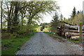 Road to Lochenbreck Loch