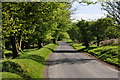 West Somerset : Halse Lane