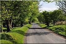 SS8834 : West Somerset : Halse Lane by Lewis Clarke