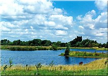 TF1313 : The old gravel pits at Langoft, near Bourne, Lincolnshire by Rex Needle