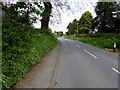 Road from Whitland towards Cwmfelin Boeth