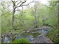 Ford over the Horsleyhope Burn