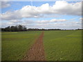 Well marked footpath north of Normanton