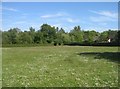 Open ground by Ship Lane Cemetery