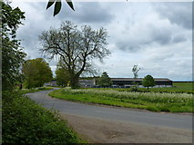 TL0491 : Perio Barn Farm north of Cotterstock by Richard Humphrey