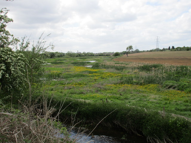 Marsh by the River Ryton