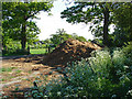 Compost heap, Winkfield 