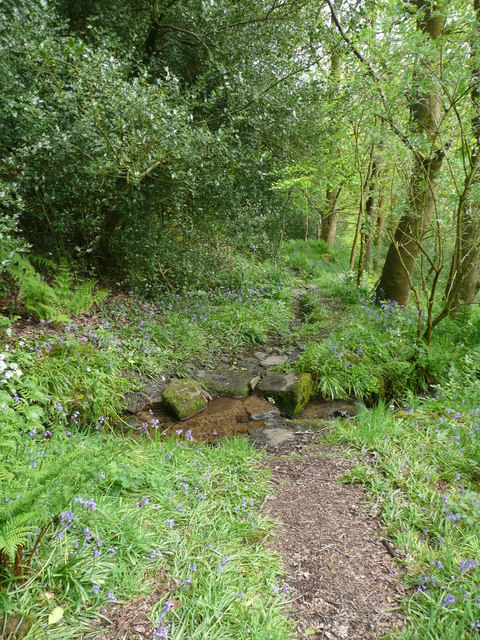 Hebden Royd FP40 crossing a stream in Brearley Wood, Mytholmroyd