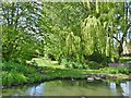 Place of peace and tranquility beside Erewash Canal