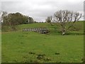 Bridge over Pennyland Burn