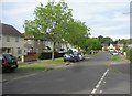 View along Blackthorn Crescent