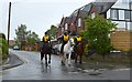 Three Bridleways endurance ride: Alsagers Bank