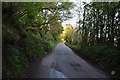 West Somerset : Country Lane