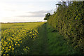 Fieldside path