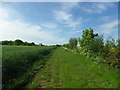 Footpath follows field margin