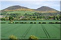 View of the Eildon Hills and Melrose in spring