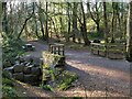 Picnic bench and bridge over Nant yr Olchfa