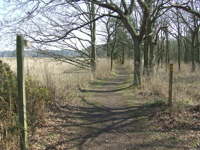 Footpath Junction © Keith Evans cc-by-sa/2.0 :: Geograph Britain and ...