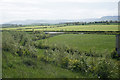 Fields by Trenholme Lane