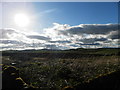 Farmland at Pitblado