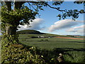 Farmland at Myrecairnie