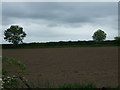 Field west of Hinckley Road