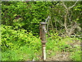 SN0004 : Old Pump north of Cosheston by welshbabe