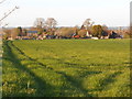 TQ7651 : Field, and houses on Haste Hill Road, Boughton Monchelsea (2) by Danny P Robinson