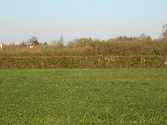 Field, Boughton Monchelsea