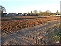 Field off Heath Road, Boughton Monchelsea