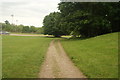 View of the path down to the main road from the Crystal Palace terrace