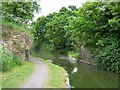 Bridge 5, Slough Arm, Grand Union Canal