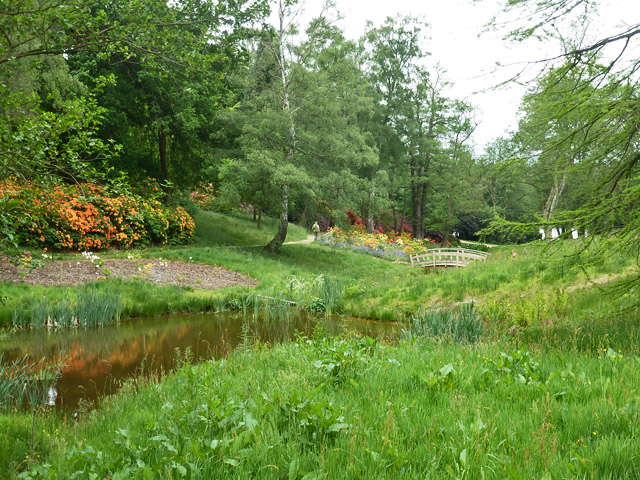 In Valley Gardens Windsor Great Park © Robin Webster Geograph