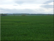 NT5573 : Crop field, Coldale by JThomas
