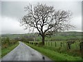 NY2436 : The Road to Uldale, looking north-east by Christine Johnstone
