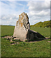NJ7308 : Wester Echt Recumbent Stone Circle (4) by Anne Burgess