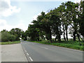 Eriswell Road, Holywell Row