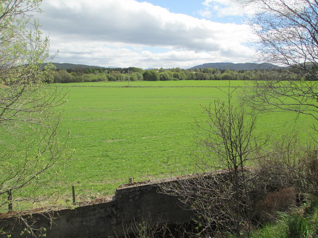 Farmland near Carrbridge