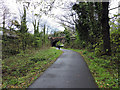 Old railway line at Dumbuck