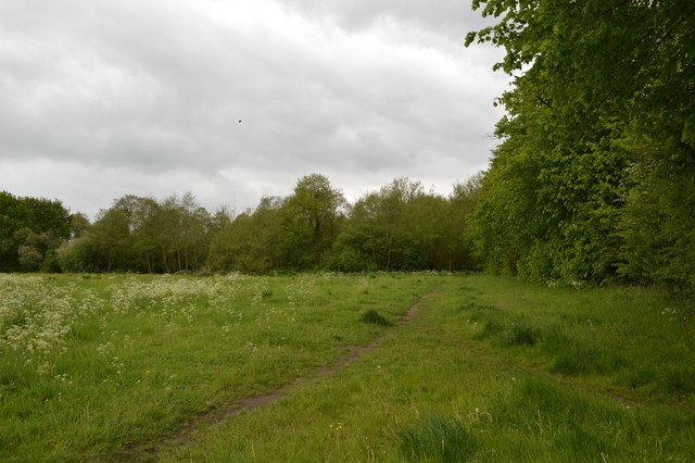 Alsager: field off Fanny's Croft (1) © Jonathan Hutchins :: Geograph ...