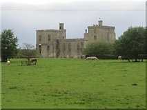 SE7031 : Wressle Castle by Nigel Thompson